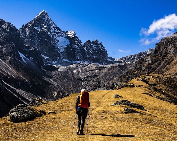 Growth Partner/ACAI Outdoorwear